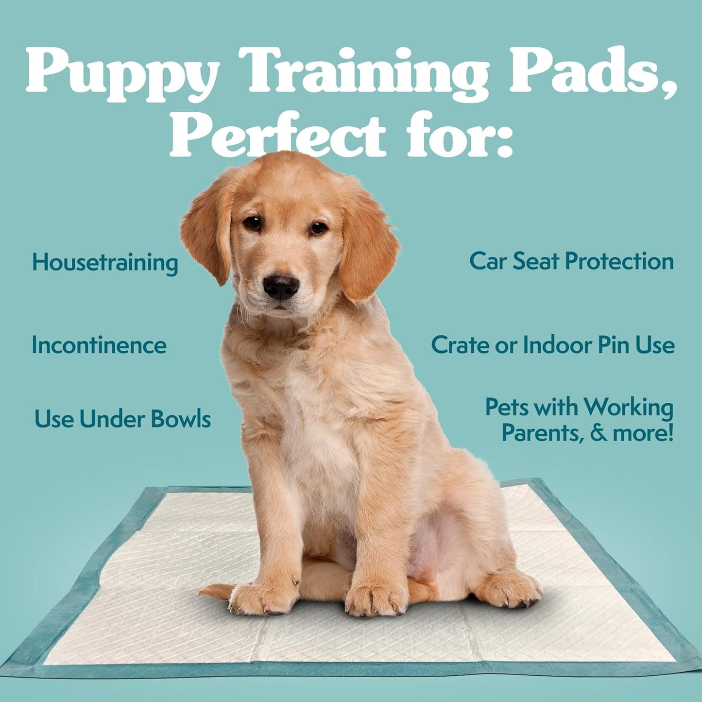 Extra Large Training Puppy Pads - 3 in 1 Attractant - Absorbs up to & Cups of Liquid - 28X30In - 50 Count